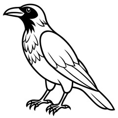 Fototapeta premium Crow line art vector
