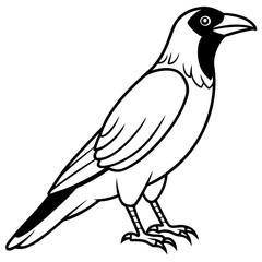 Crow line art vector