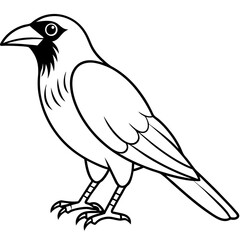 Crow line art vector