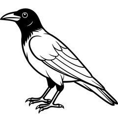 Crow line art vector