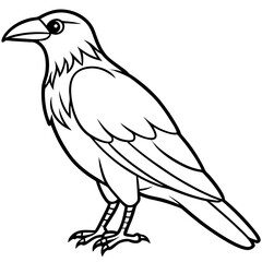 Crow line art vector