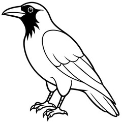 Crow line art vector
