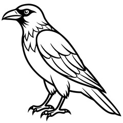 Crow line art vector