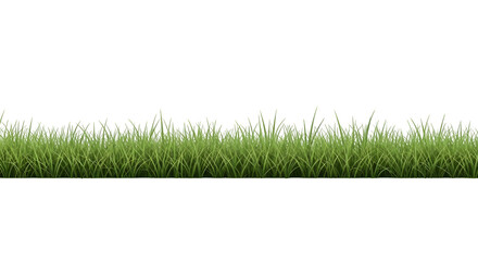 Green grass png transparent background for design element nature lawn field realistic grass patch isolated