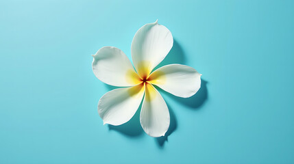 Drone Hovering at Modern Entrance
