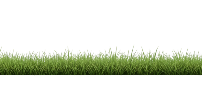 Green grass png transparent background for design element nature lawn field realistic grass patch isolated