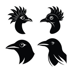 Bird head mascot silhouette logo style.