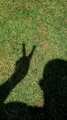 silhouette of a hand with an expression or sign of okay and success