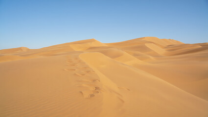Footprints in the golden sands of a vast desert landscape