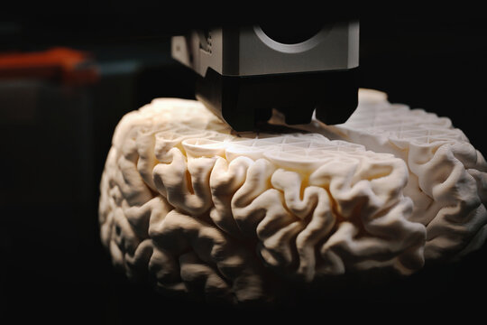 3D printing of a human brain model &ndash; close-up view of FDM printer extruding layers. Rapid prototyping for neuroscience and medical research.