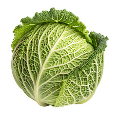 Savoy cabbage isolated on transparent background