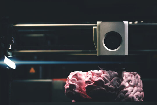 3D printing of a pink human brain model &ndash; FDM printer extruding vibrant filament for neuroscience, medical research and rapid prototyping in additive manufacturing.