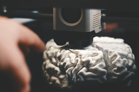 3D printing of a human brain model – hand guiding FDM printer nozzle during layer inspection. Rapid prototyping for neuroscience and biomedical engineering. - Powered by Adobe