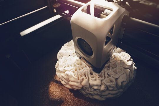 3D printing of a human brain model &ndash; top view revealing internal lattice support structures during FDM rapid prototyping for neuroscience and biomedical research.