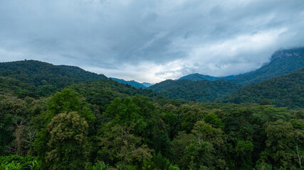A dramatic view of a lush, forested mountain peak shrouded in thick clouds, capturing the raw...