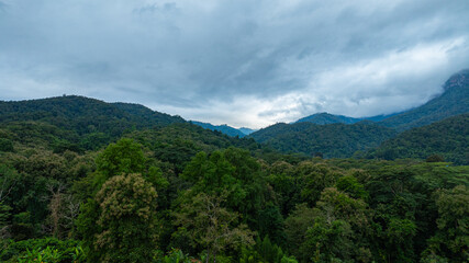 A dramatic view of a lush, forested mountain peak shrouded in thick clouds, capturing the raw...