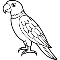 Fototapeta premium Parrot line art vector