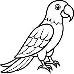 Parrot  line art vector