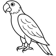 Parrot  line art vector