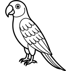 Parrot  line art vector