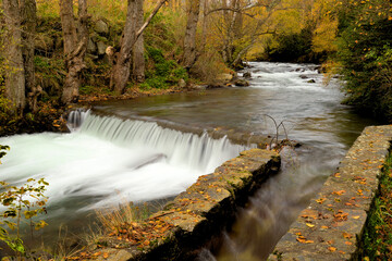 waterfall in autumn forest