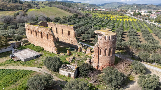 Aerial View of Ancient Ruins of Scolacium Archaeological Park With Olive Trees - Powered by Adobe