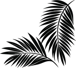 Obraz premium black tropical palm leaf silhouette vector illustration with overlapping fronds on white background, perfect for nature, summer, or floral design
