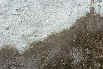 High-Resolution Rough Concrete Wall Texture with Natural Imperfections and Grunge Surface Details. Perfect for Architectural Backgrounds, Construction Themes, or Grungy Industrial Design Projects.