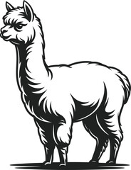 Obraz premium Llama Silhouette with Fluffy Fur, Black Vector Design, Transparent Background.