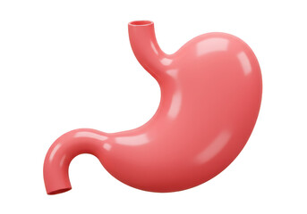 A 3d rendering of a human stomach isolated on transparent background
