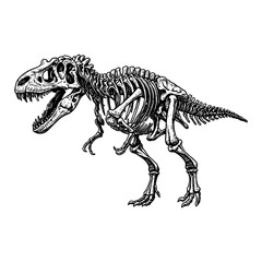 Fototapeta premium Tyrannosaurus Skeleton Dinosaur Black and White Outline Line Art Drawing Extinct Animal Bones