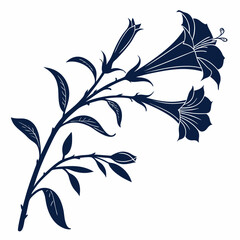 vector illustration of a branch with trumpet flower