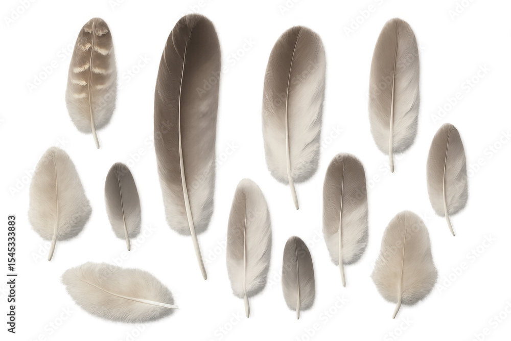 Poster photorealistic rendering of various sizes of soft, delicate bird feathers gently floating against a 