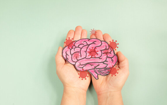 Brain with Borna disease virus infection, neurological disease affecting animal and human, encephalitis and depression, bornaviruses, BDV