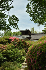 詩仙堂丈山寺　サツキと嘯月楼と青モミジ(京都市左京区)