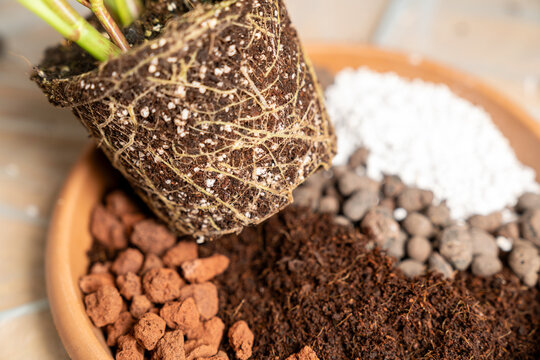 Organic potting soil mix with clay pebbles, coco coir, pumice and akadama for indoor plants, bonsai, succulents and cacti in a terracotta pot. gardening and horticulture background