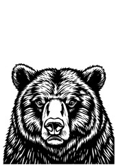 Illustration of a fierce bear's face, featuring intricate line work and detailed fur texture, on a white background.