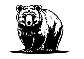 vector illustration of a bear