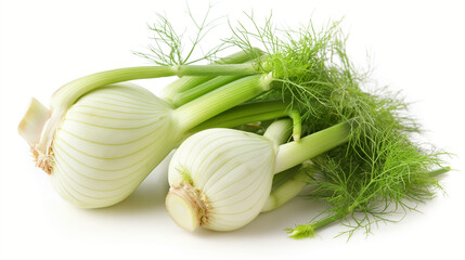 Fennel isolated on white background 
