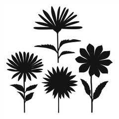 Collection of spring colorful flower elements vector. Set floral of wildflower, leaf branch, foliage on white background. clipart. EPS