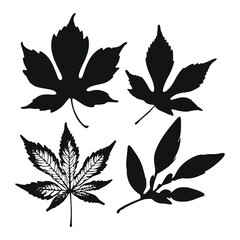 Fototapeta premium Set of silhouettes of plant leaves