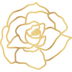 Wave Lines Vector Photo PNG Transparent Background