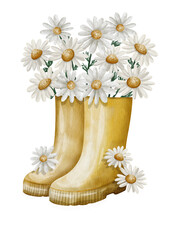 Watercolor bouquet of daisies in yellow boots illustration, isolated icon on transparent background 