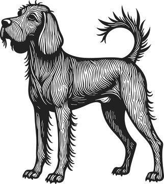 Havapoo line art vector showcases a vintage engraving of a dog standing proudly with distinct fur texture and elegant posture