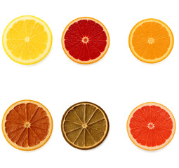 Fototapeta premium Citrus wheel slices isolated on transparent background, showing fresh and dried lemon, orange, grapefruit, and lime variations with vibrant textures for food styling, cocktail garnish, product packagi