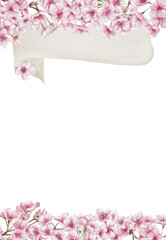 Template with pink sakura flowers. White ribbon for text. Branches with cherry blossoms. Spring festival. Watercolor illustration without background. Border frame. Hand drawing.