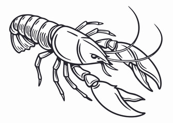 Line art drawing of a crawfish or crayfish