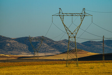 high voltage power lines with wheat fields in summer 