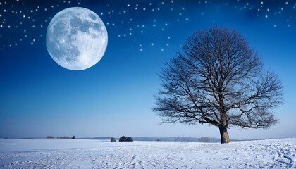 winter moon and lone tree