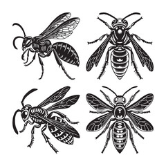 silhouette of insects wasp set bundle on the white background 